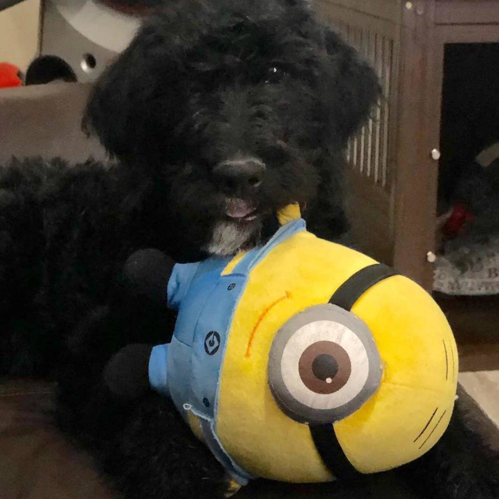 Meet your Posher, Steph